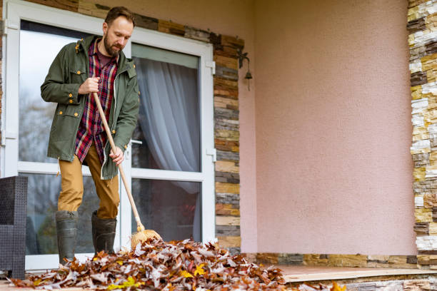 Best Dumpster Rental Services  in Penbrook, PA